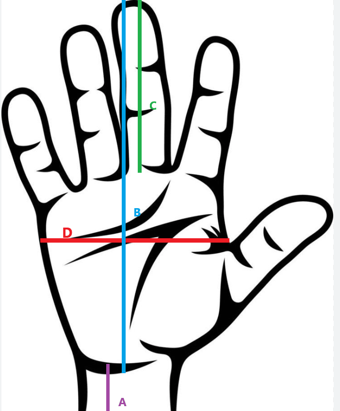 turnen reck handschuhe Handschuhe für Turnschlaufen – CEK Gymnastics