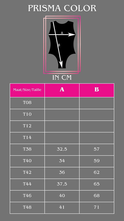 Maillot GIMAR Prisma multi color